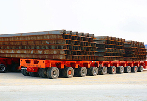 Self-propelled Module Transporters